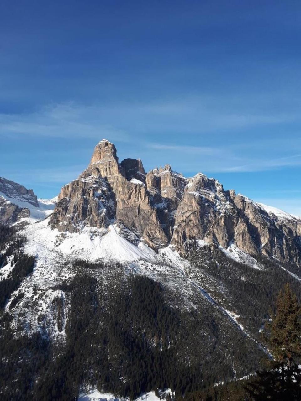 Apartments Da La Vedla Flats San Cassiano  Buitenkant foto