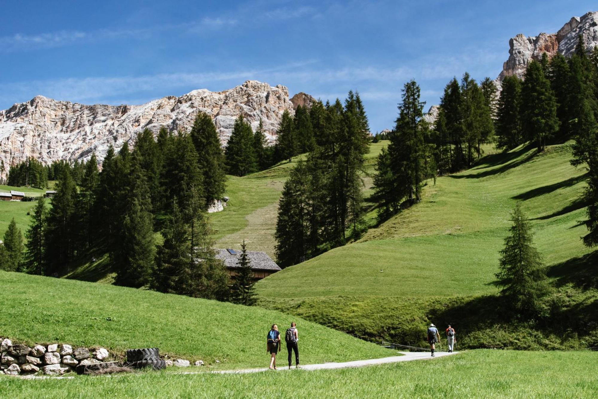 Apartments Da La Vedla Flats San Cassiano  Buitenkant foto